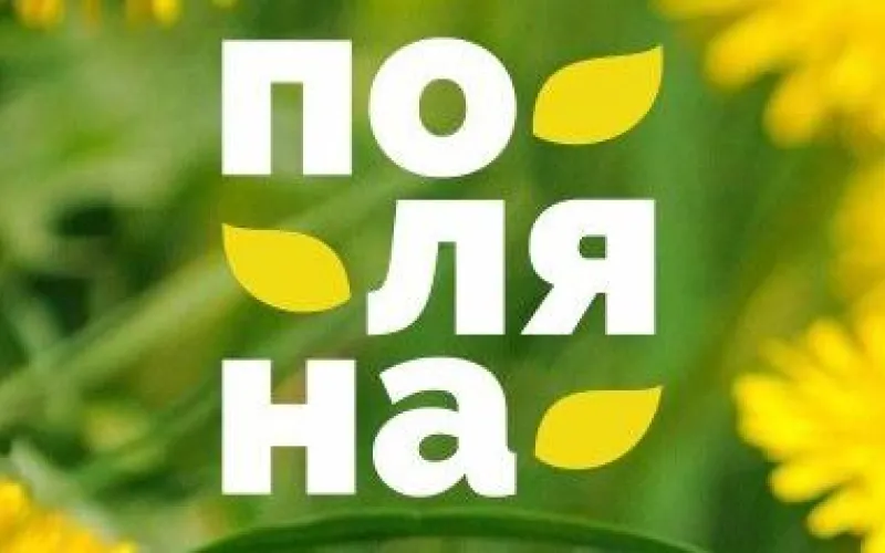 Городской пикник «Поляна» пройдёт в Парке спорта 12 июня