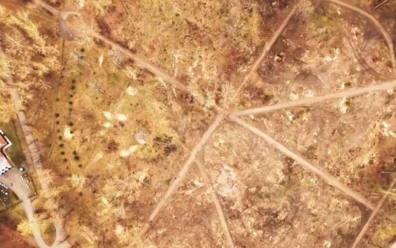 Барнаулец снял видео о состоянии парка «Изумрудный»
