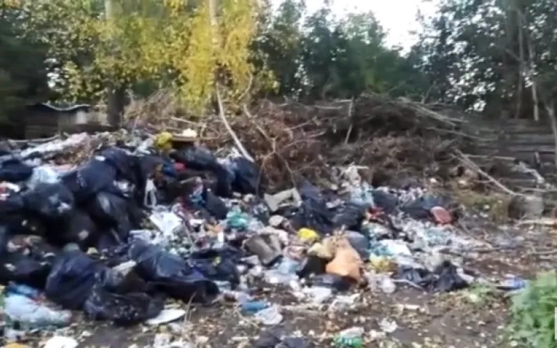 Барнаульцы рассказали о несанкционированной свалке в парке «Изумрудный»