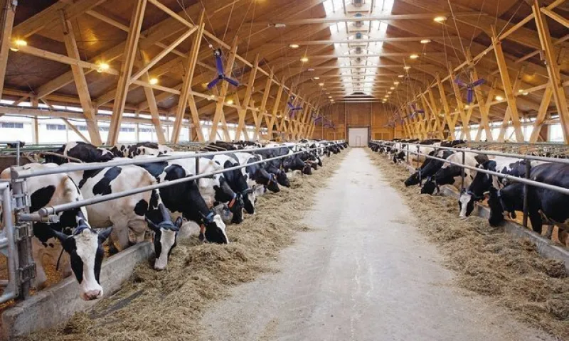 Объем производства сельхозпродукции в Алтайском крае за 4 месяца составил 20 млрд рублей