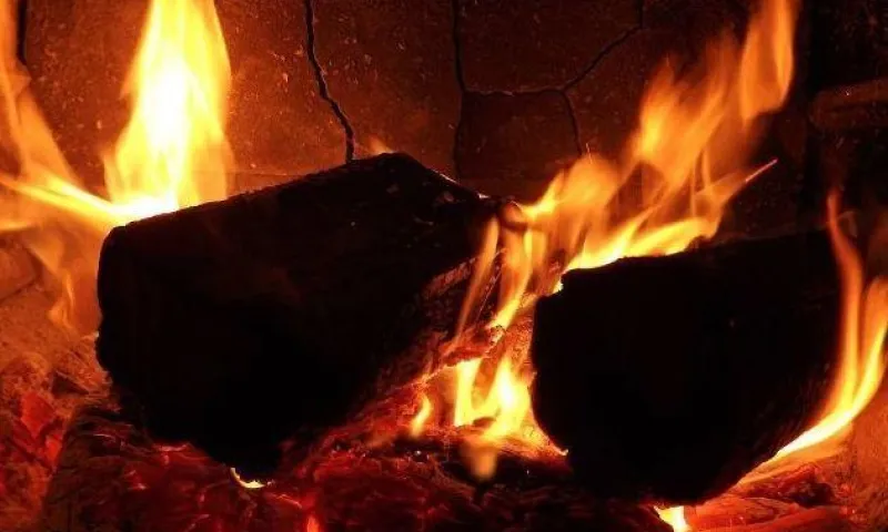 Пожилая женщина и её сын погибли от отравления угарным газом в Алтайском крае