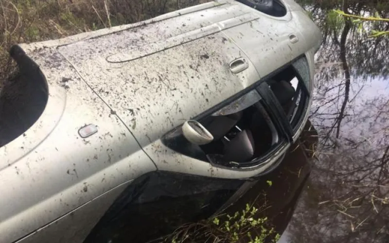 Автоледи слетела в придорожное болото в Алтайском крае