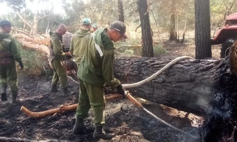 В Минприроды рассказали, как проходит тушение пожаров в Угловском районе