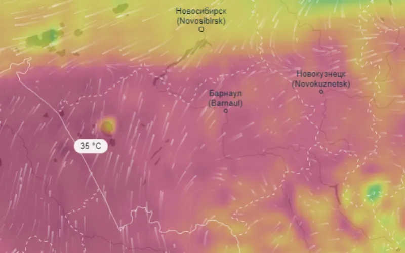 До +35 градусов потеплеет в Алтайском крае