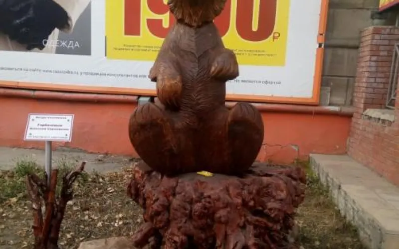 Медведя заметили на улице Рубцовска