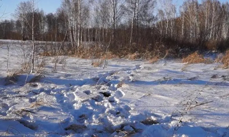 Браконьеров задержали в Алтайском крае