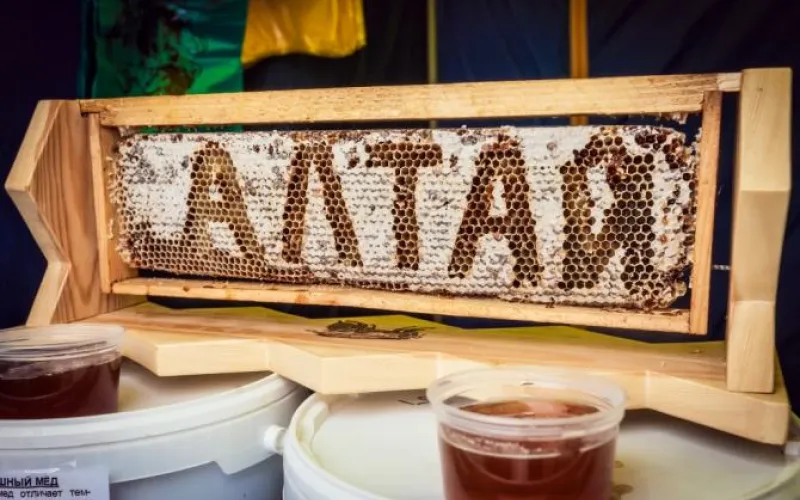 Алтайский мёд пользуется спросом за рубежом