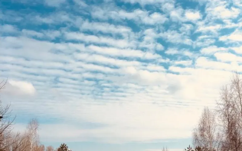 Режим ожидания: о погоде в Алтайском крае 4 апреля