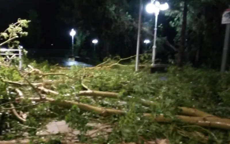 Барнаул оказался не готов к урагану 