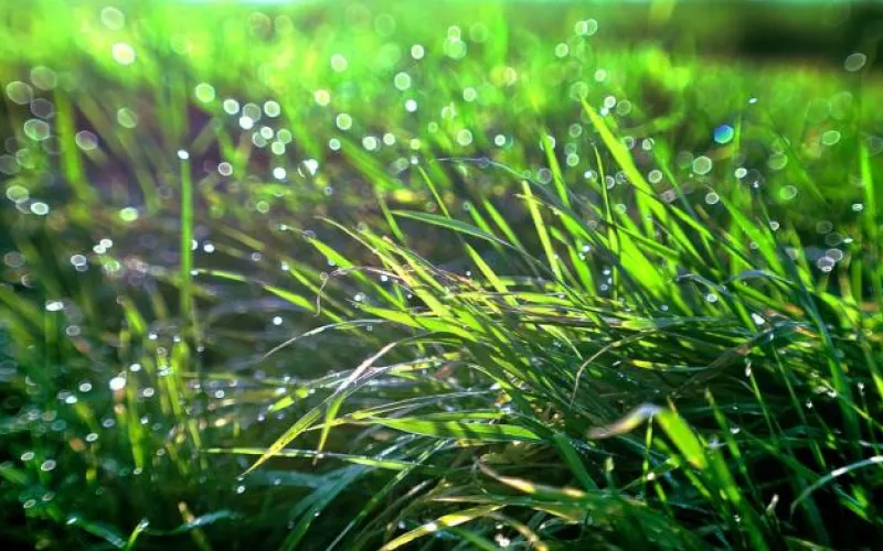 Ветрено и небольшой дождь: о погоде в Алтайском крае 16 сентября