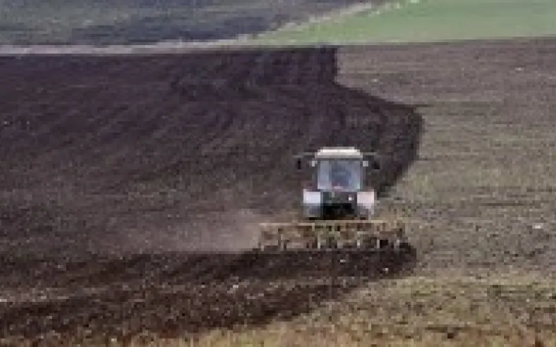 Весенние полевые работы начались в Алтайском крае