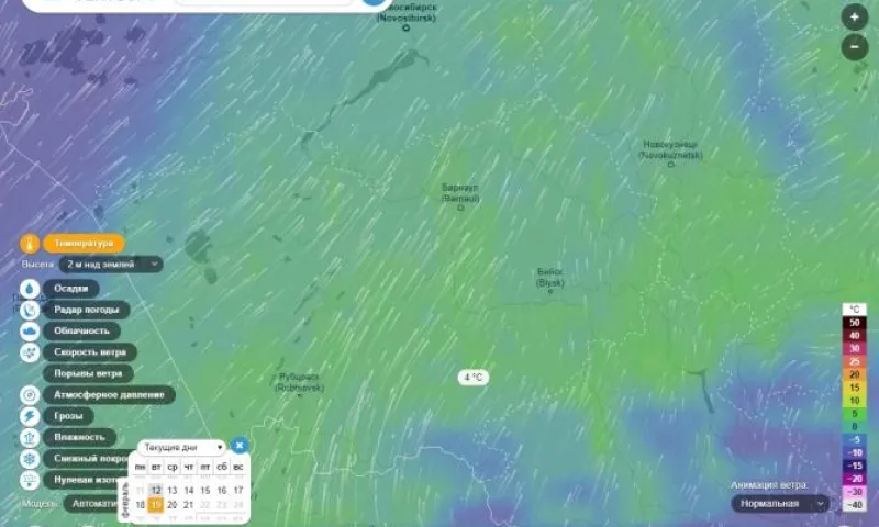 До +4: мощная волна тепла идёт в Алтайский край 