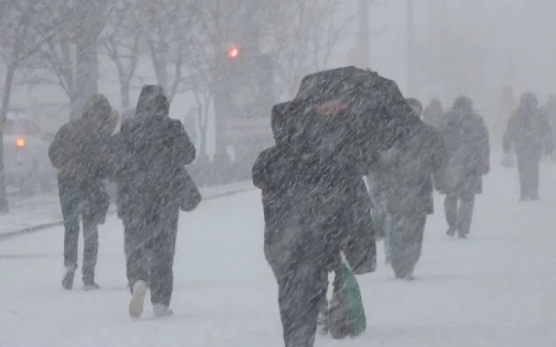 ГИБДД Алтайского края призывает водителей воздержаться от поездок из-за непогоды