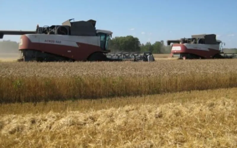 Второй транш погектарных субсидий направлен в Алтайский край