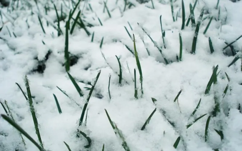 Эпицентр стихии: о погоде в Алтайском крае 19 мая