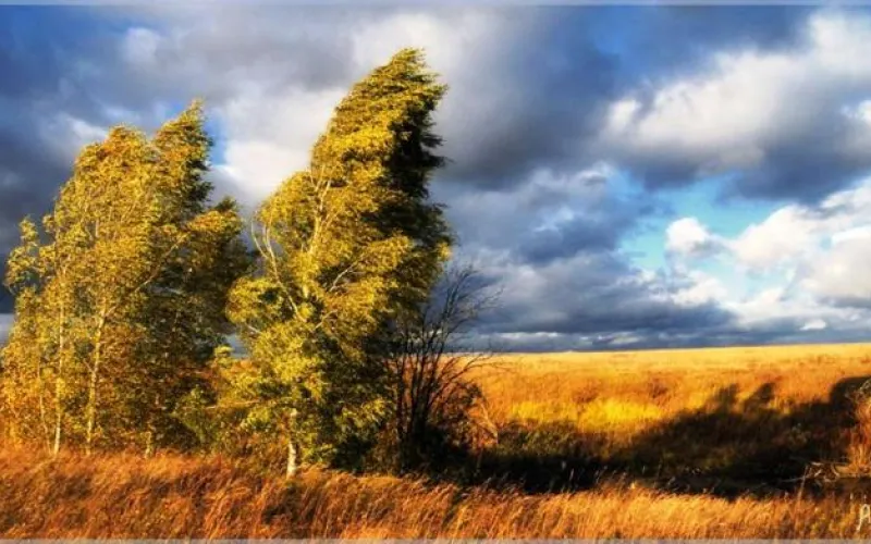 Потепление и штормовой ветер: о погоде в Алтайском крае 15 сентября