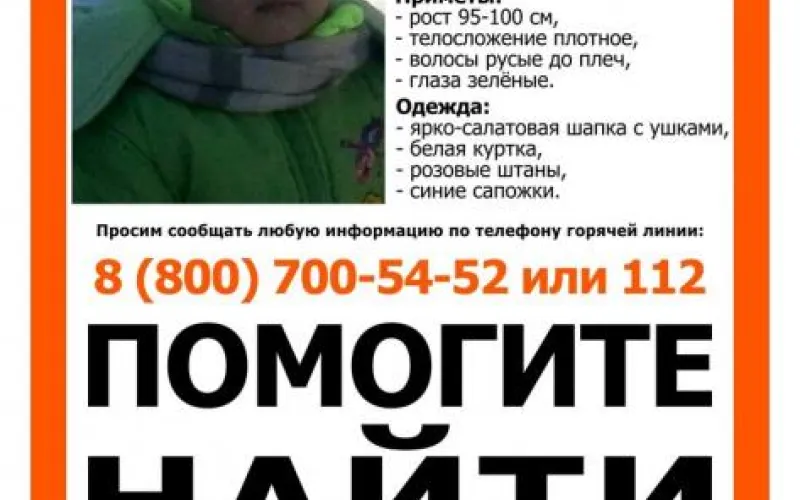 Больше двух месяцев алтайские поисковики ищут двухлетнюю девочку 