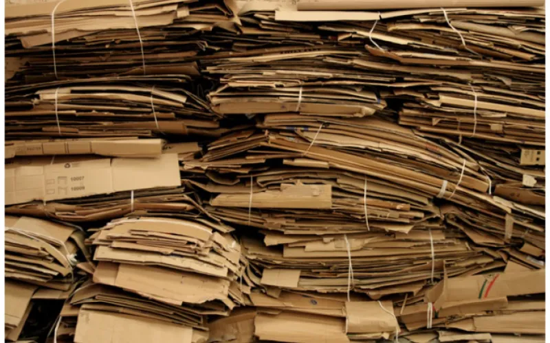 Барнаульцы могут сдать офисную макулатуру на переработку 