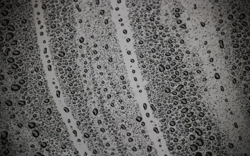 Туман и дождь: о погоде в Алтайском крае 13 сентября