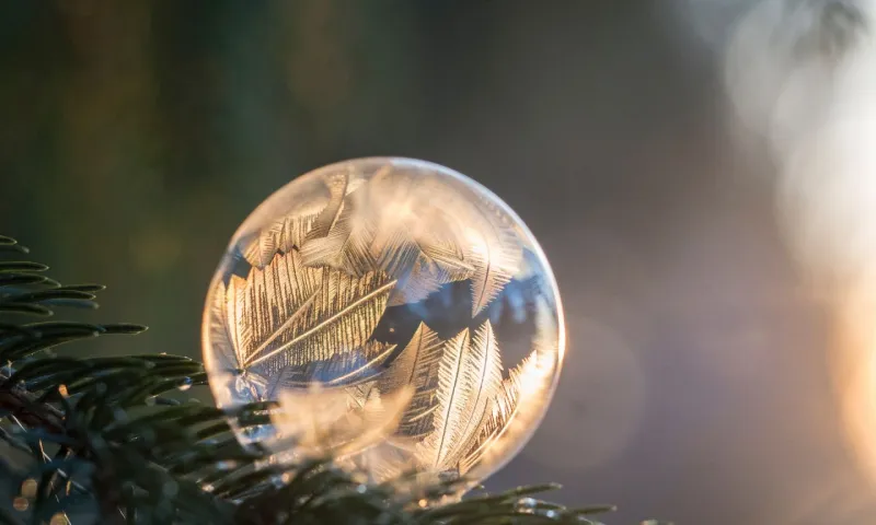 Трифонов день: традиции и приметы на 14 февраля