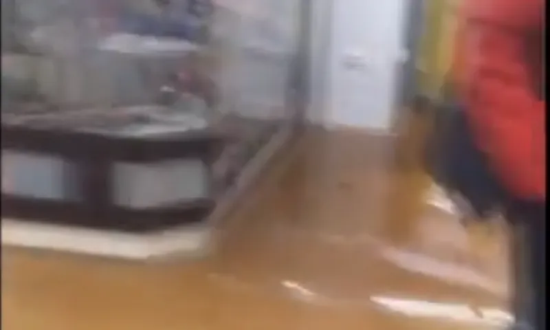Соцсети: бийский ТЦ затопило водой 