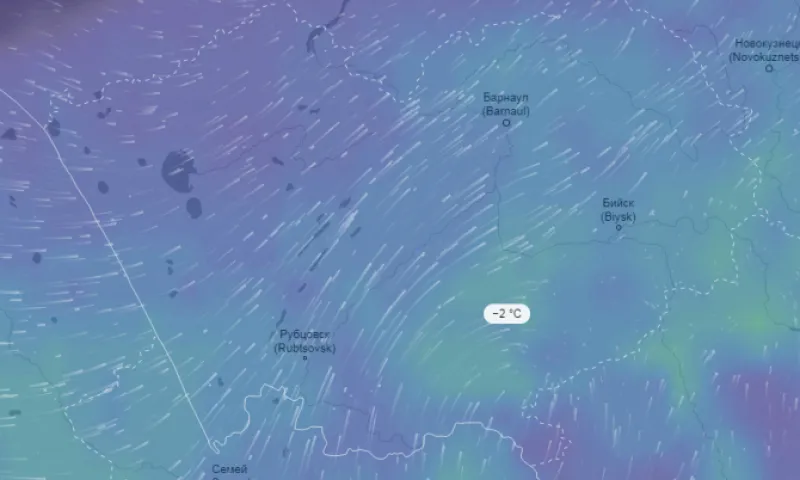 До -2: волна тепла идёт в Алтайский край