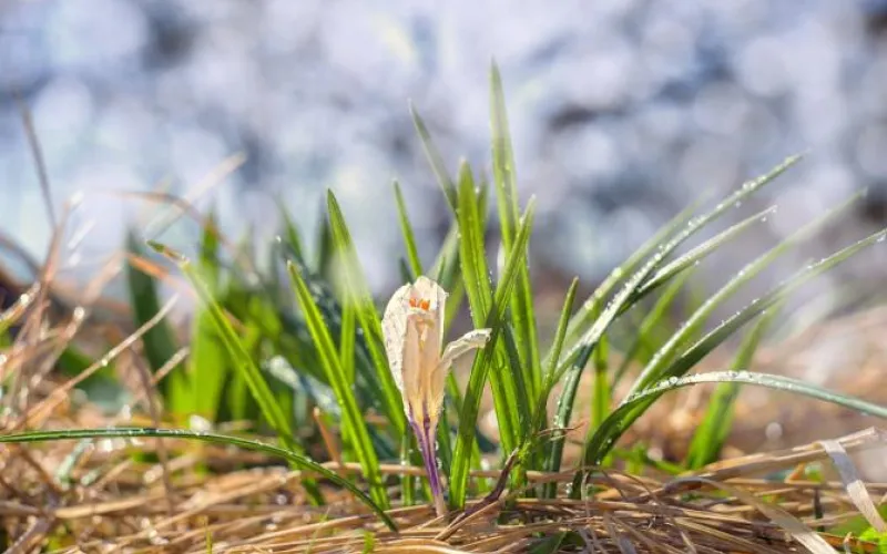 Тепло и ветрено: о погоде в Алтайском крае 24 апреля
