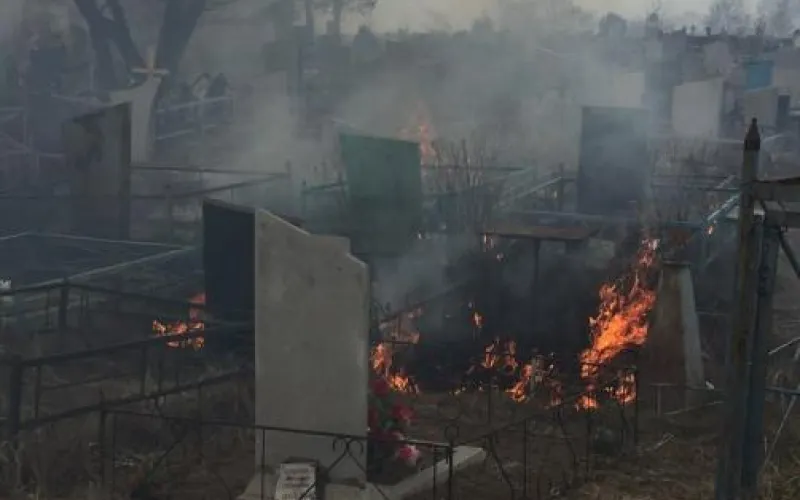 Пожар произошел на городском кладбище Рубцовска