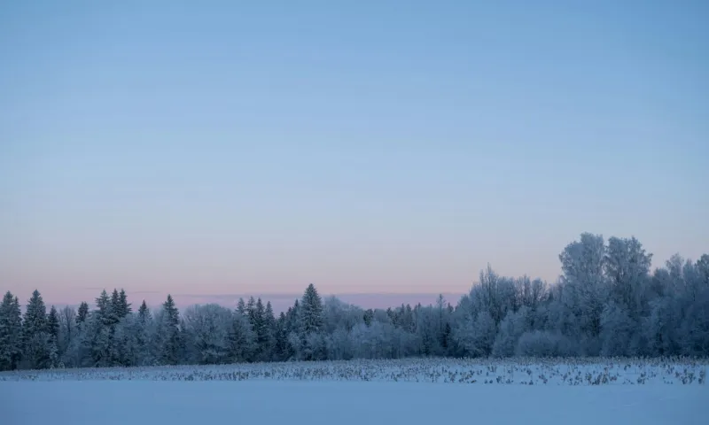 Лаптев день: традиции и приметы на 22 февраля