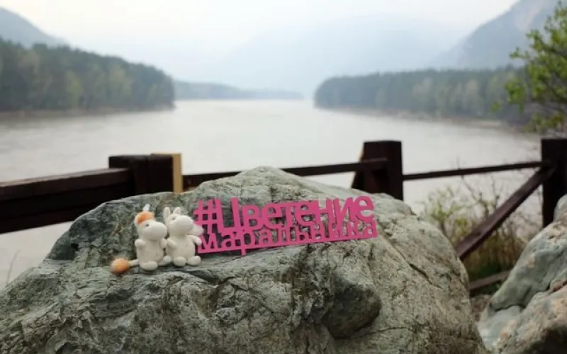 Опубликована программа праздника «Цветение маральника» 