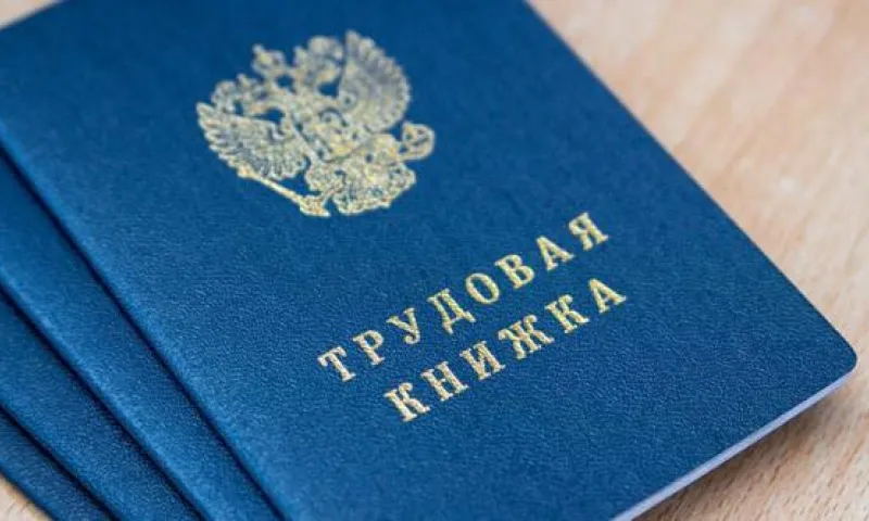 Трудовые книжки станут электронными в России