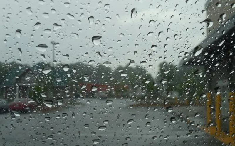 Курс на дожди и снегопады: о погоде в Алтайском крае на три дня