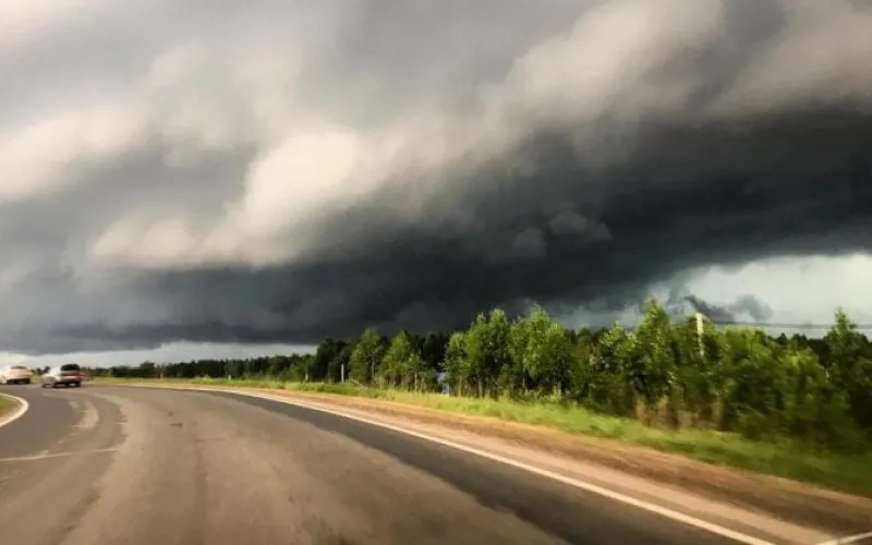 МЧС предупреждает о штормовом ветре на территории Алтайского края
