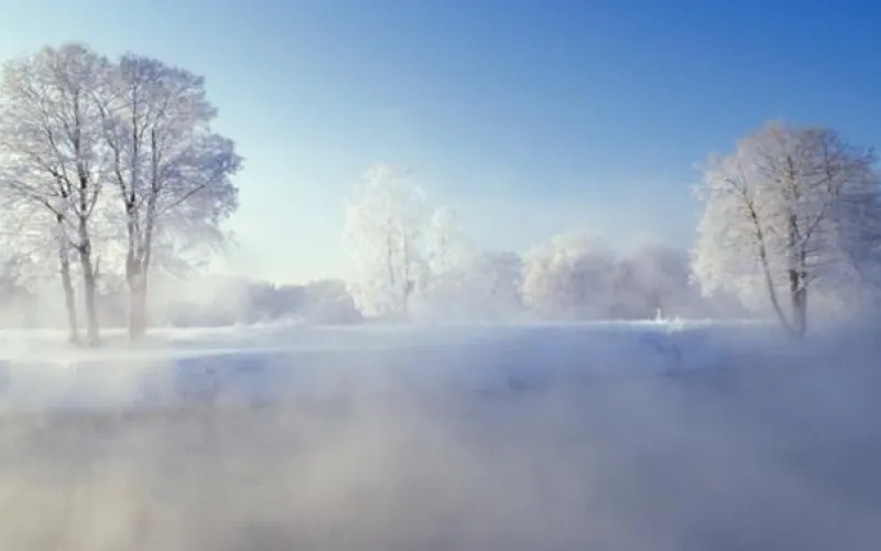 Александр Карлин намерен отыскать «синоптика» Морозова