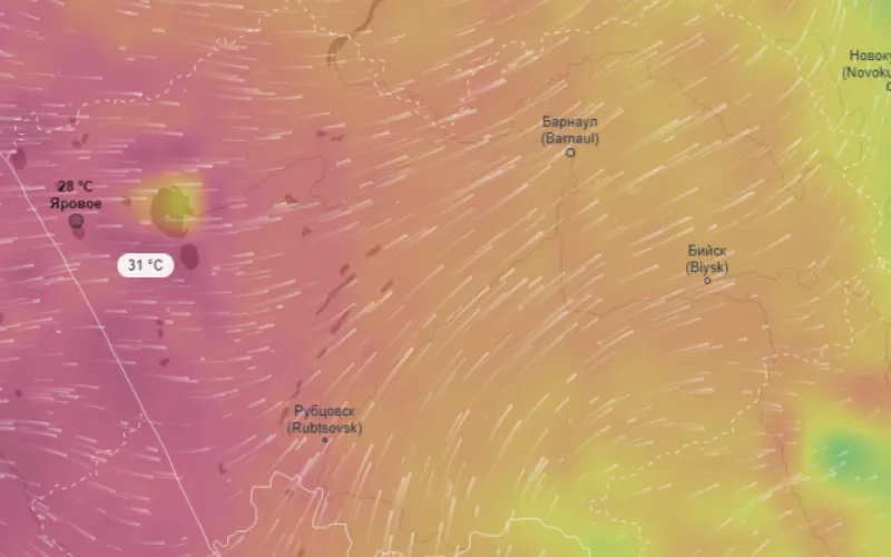 Будет жарко: мощная волна тепла идет в Алтайский край