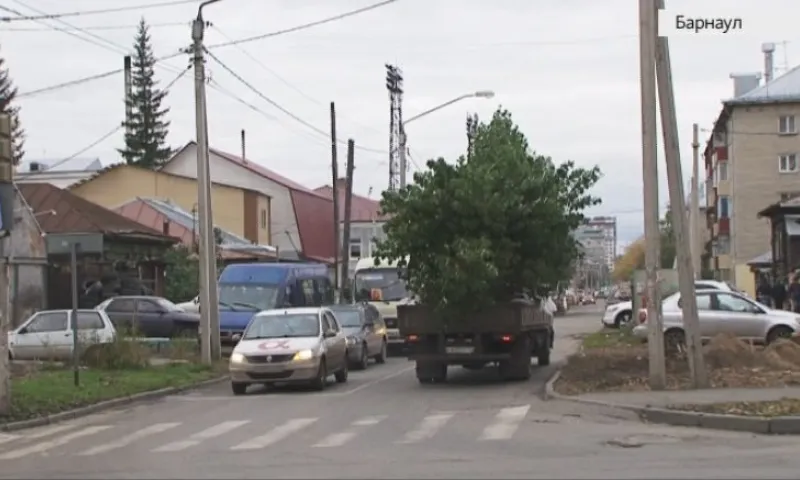 Почти две тысячи деревьев посадят в Барнауле. Выпуск от 21.09