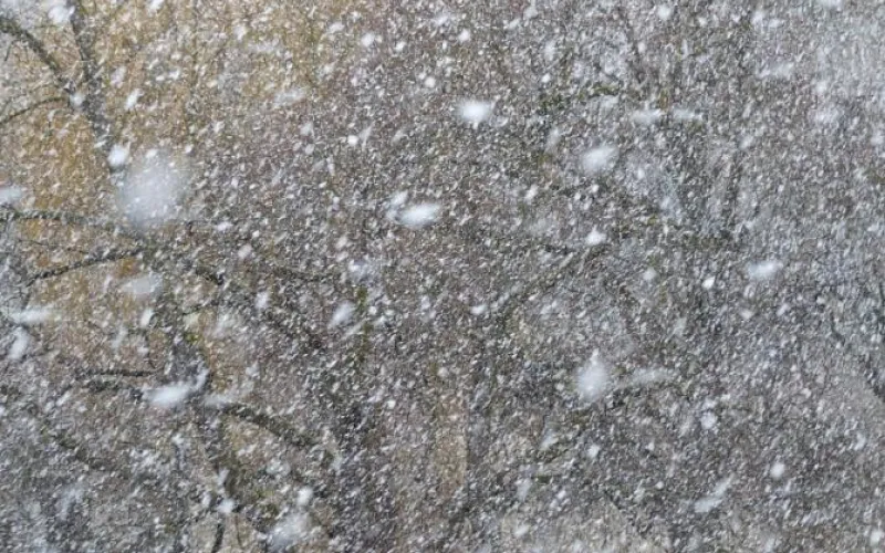 Мокрый снег и порывистый ветер ожидаются в Алтайском крае 14 мая