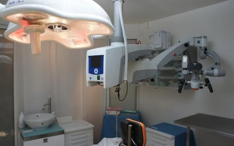 Барнаульцы смогут бесплатно сводить ребенка к зубному