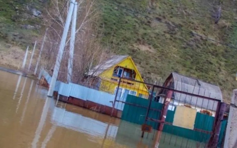 Уровень воды в реках Алтайского края стремительно растет