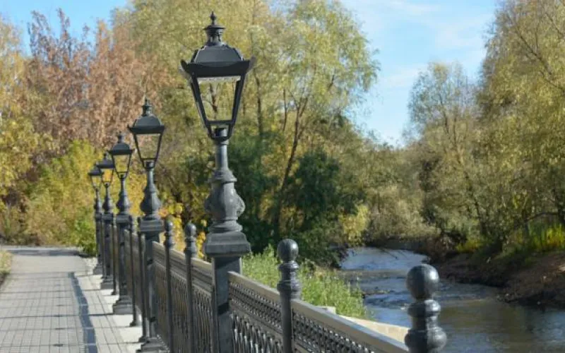 Новые деревья появятся в исторической части Барнаула