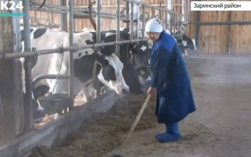 Лучших тружеников хозяйств региона наградили губернаторскими премиями