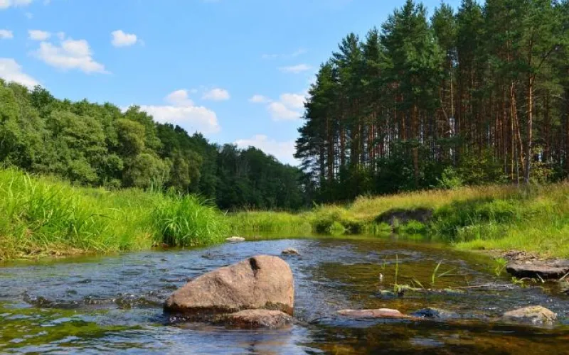 Пик жары: о погоде в Алтайском крае 2 июня