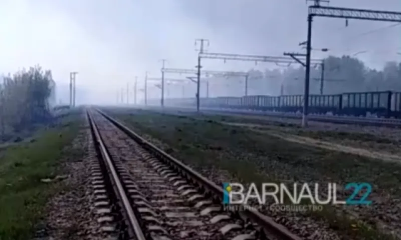 Посёлок в Алтайском крае окутало дымом из-за пожара