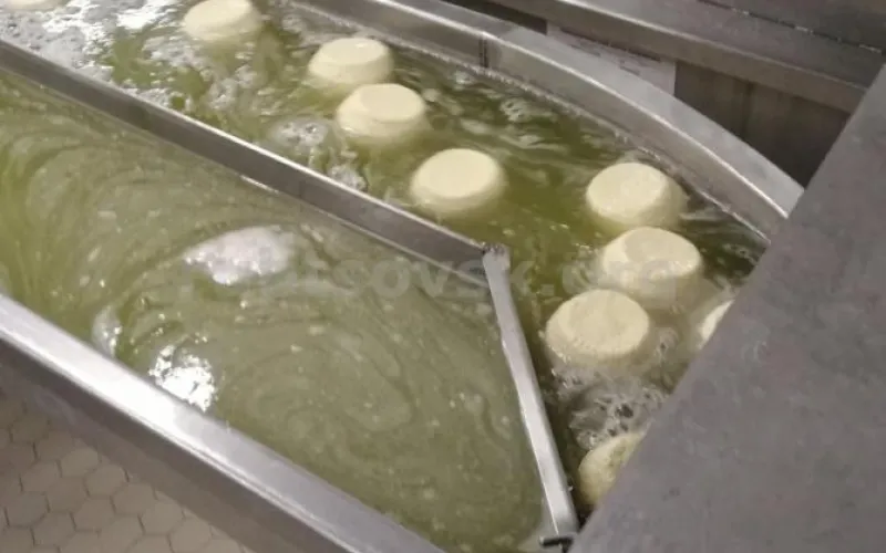 Новое производство запустили на молочном заводе в Рубцовске