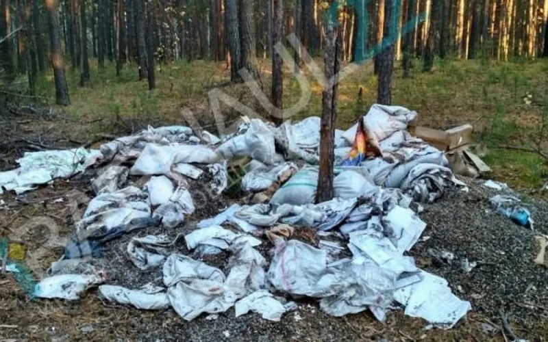 Свалку с подсолнечным жмыхом обнаружили в барнаульском бору