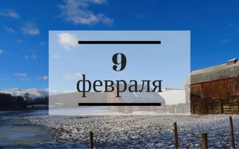 Планы на день: вспомнить историю волейбола, составить список вещей для поездки в Антарктиду и прокатиться на сноуборде