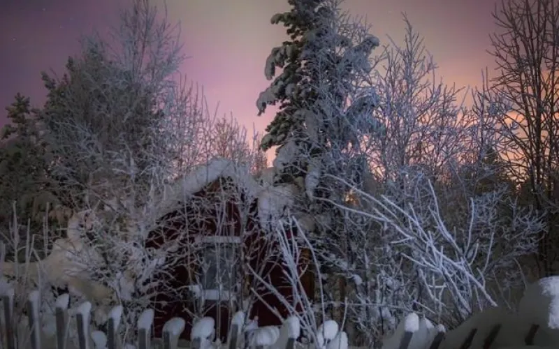 Названа причина аномальных морозов на Алтае 