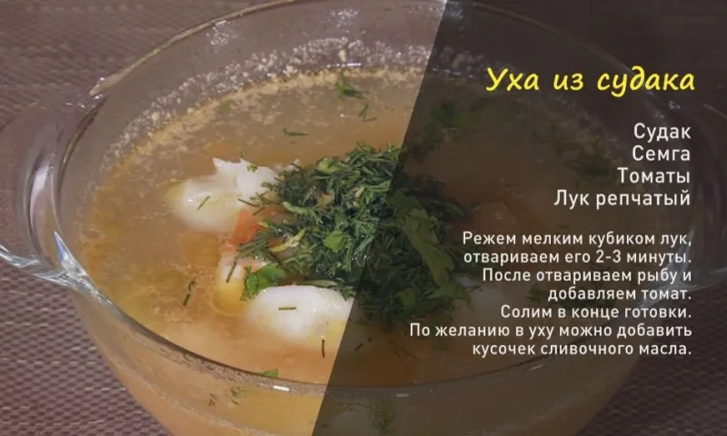 «Утренний канал»: уха и фаршированные кальмары