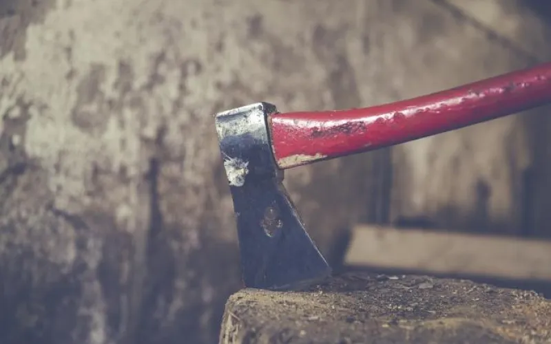 Жителя Алтайского края будут судить за угрозы сыну 