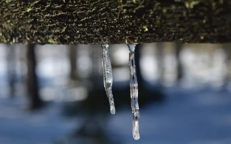 Похолодание придет в Алтайский край 26 апреля